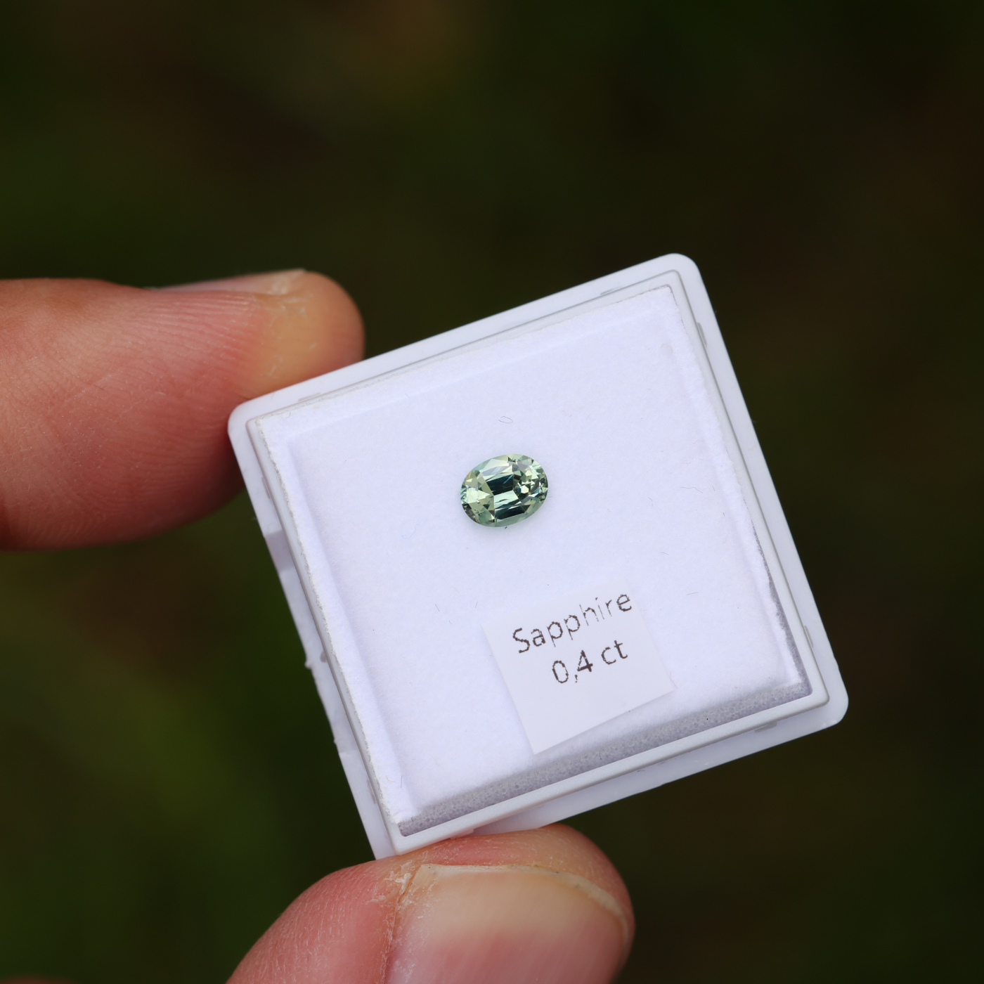 CG0286 Tageslicht