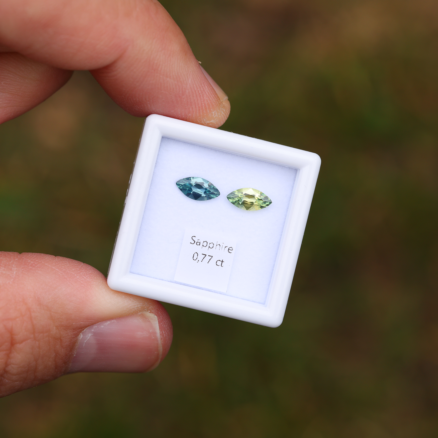 Sapphire Pair 0.77 ct