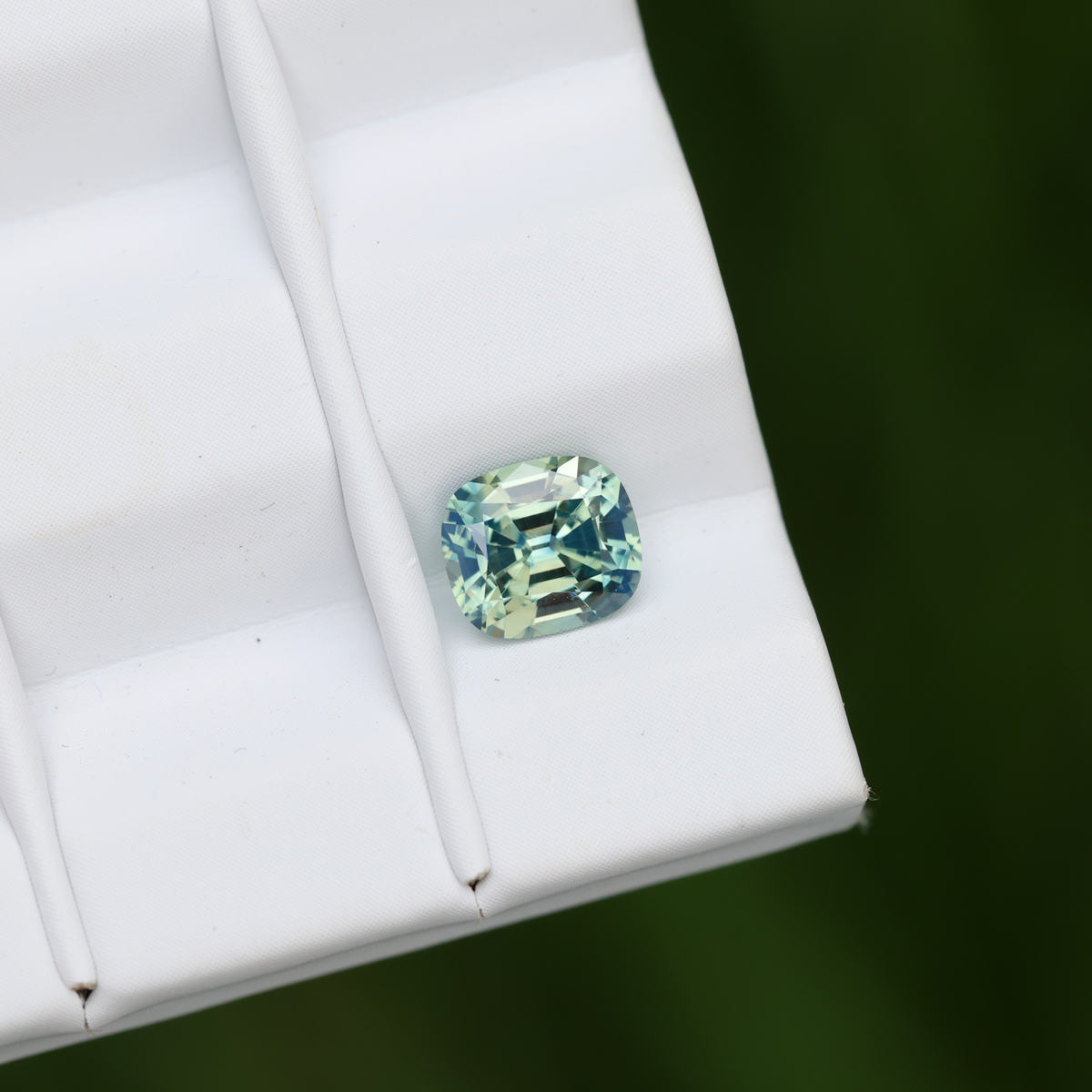 CG1066 Tageslicht