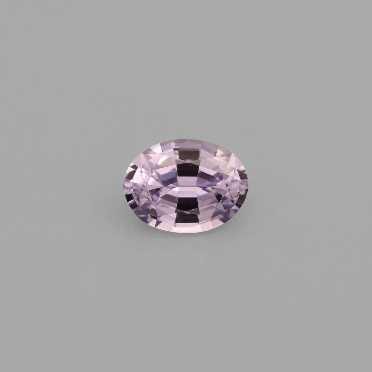 CJ2629 Studio