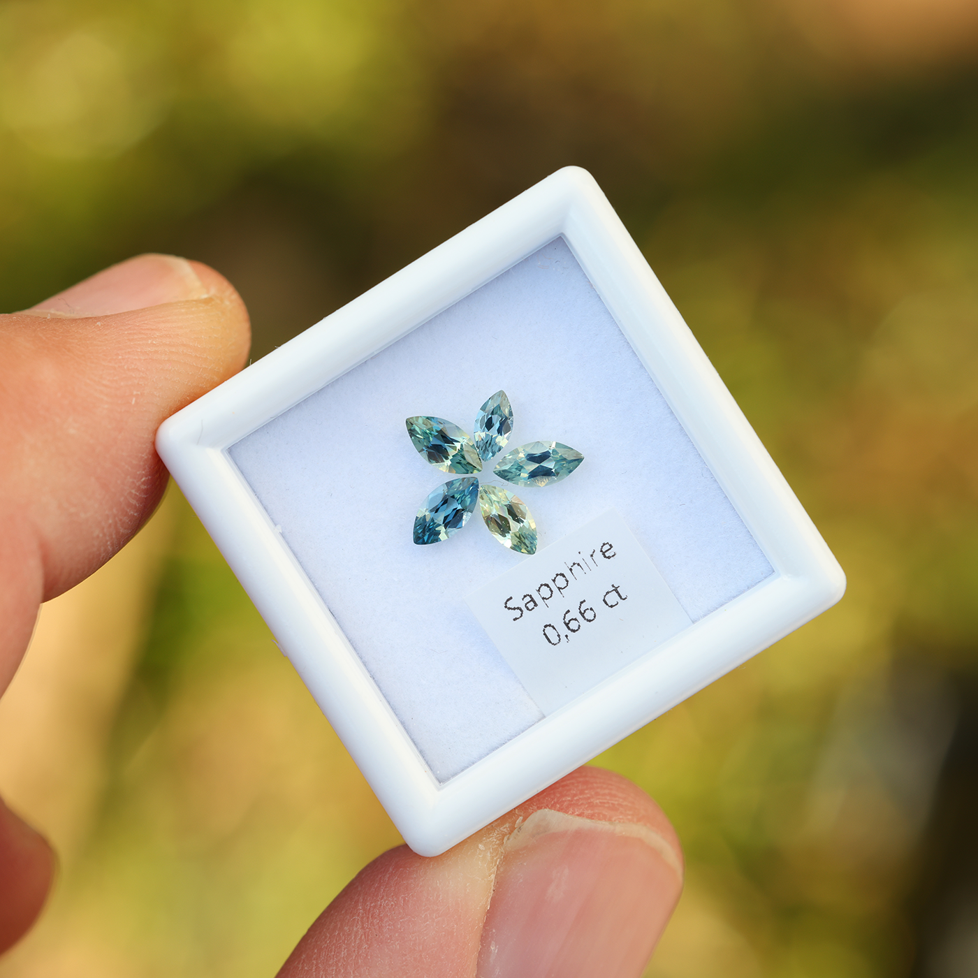Sapphire Set 0.66 ct