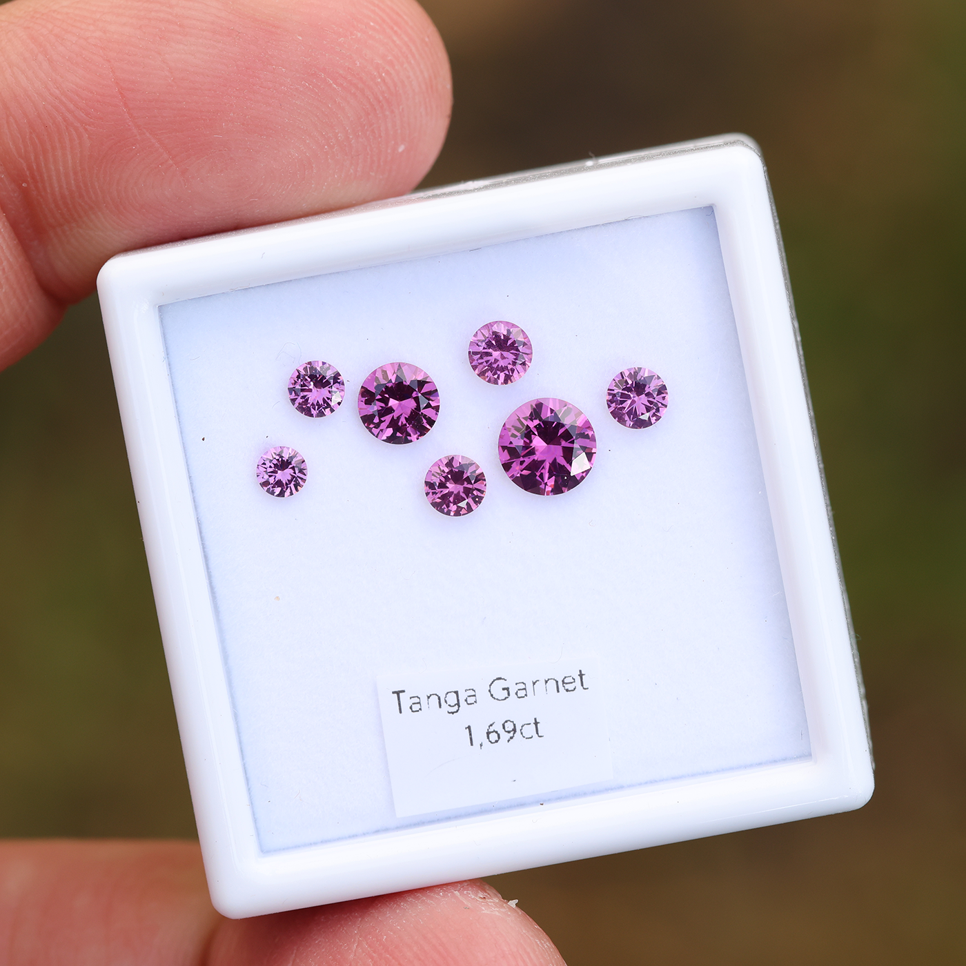 Tanga Garnet Set 1.69 ct