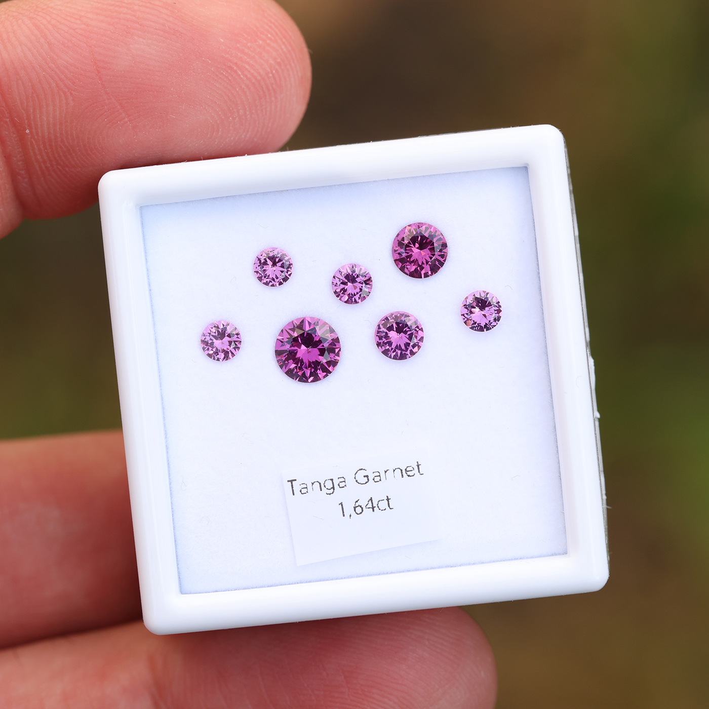 Tanga Garnet Set 1.64 ct