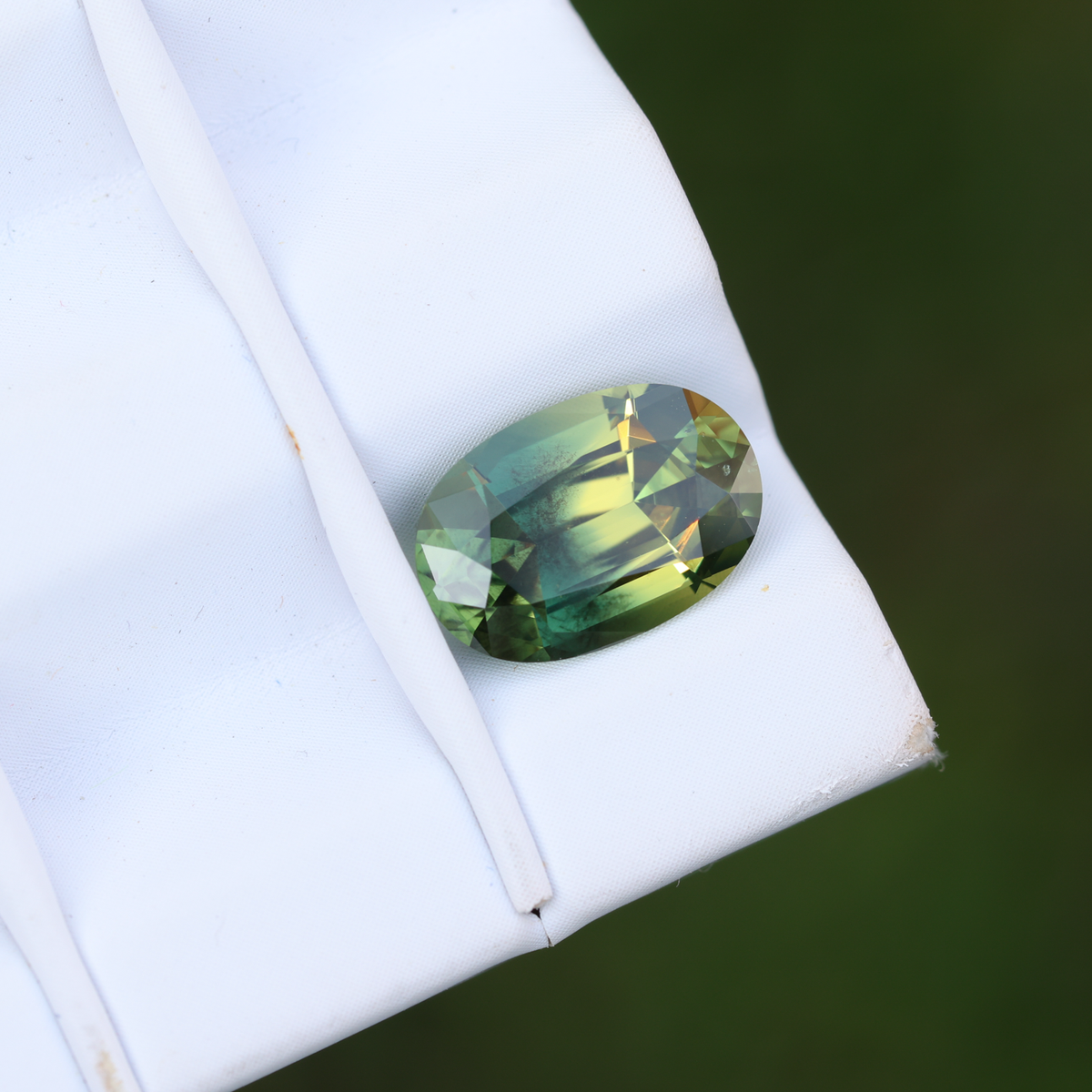 CJ3641 Tageslicht