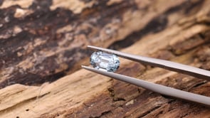 CJ2721 Video