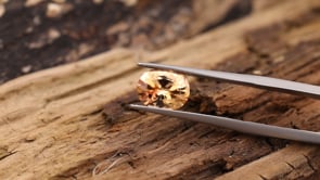 CJ3339 Video