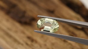 CJ3729 Video (CJ3729)