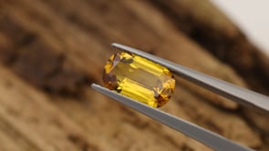 CJ3792 Video (CJ3792)
