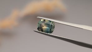 CG1112 Video (CG1112)