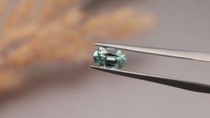 CG1128 Video (CG1128)