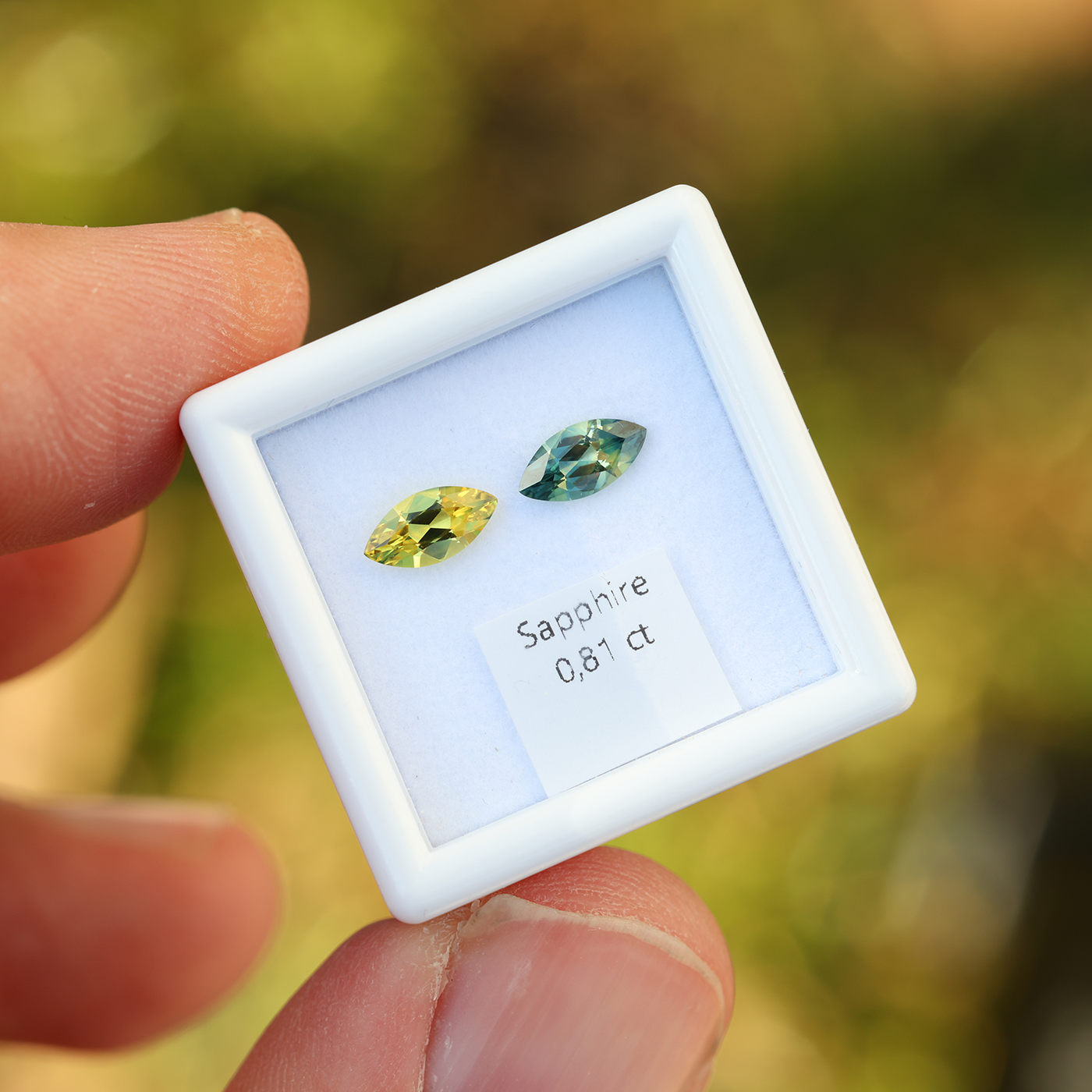 Sapphire Pair 0.82 ct