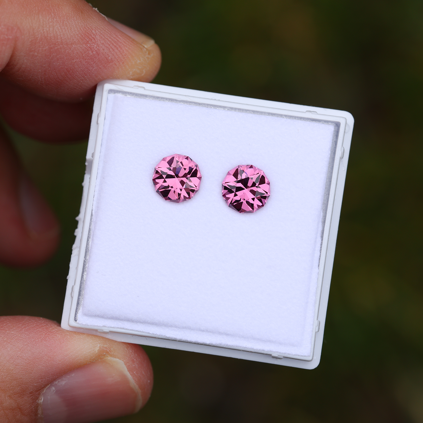 Tanga Garnet Pair 2.86 ct
