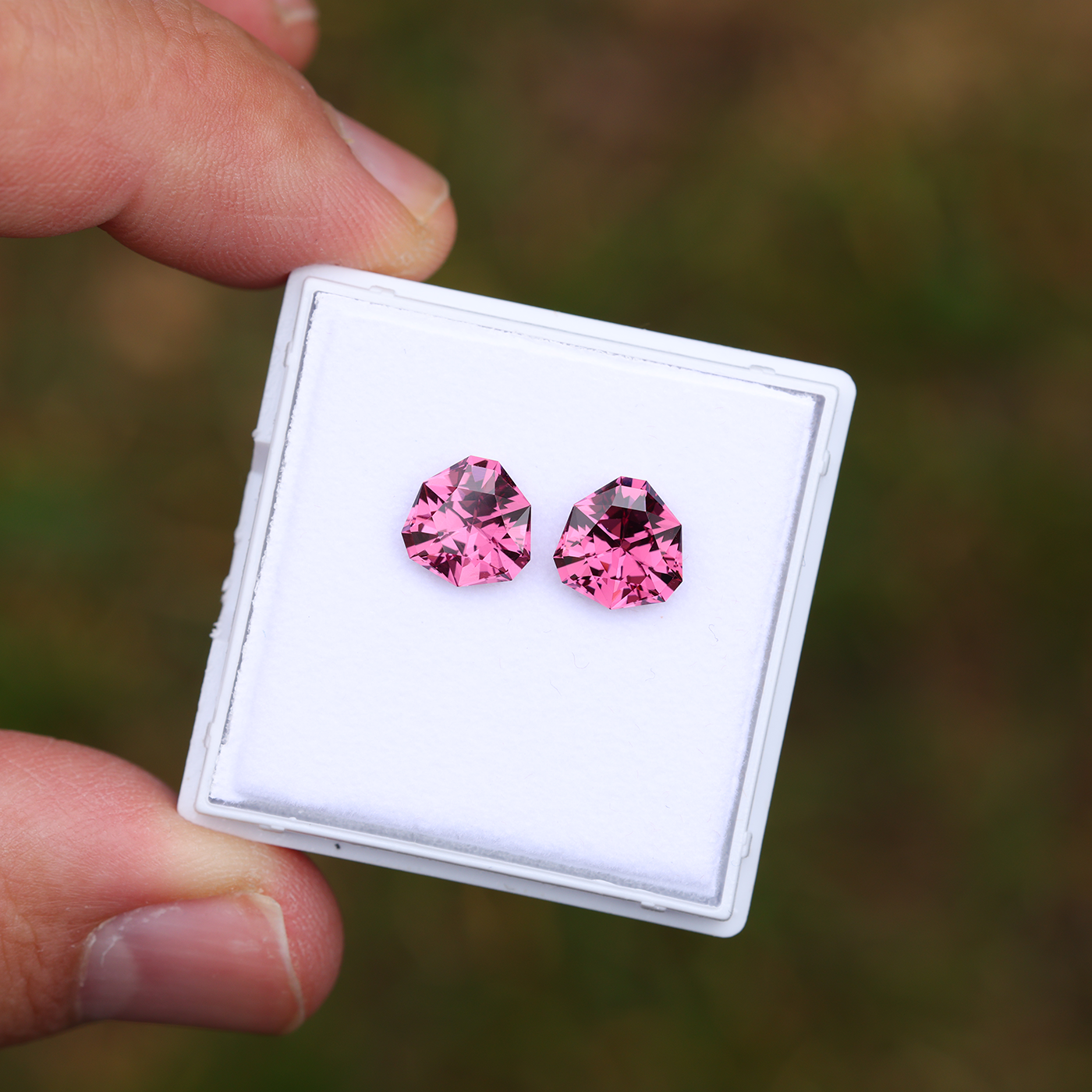 Tanga Garnet Pair 4.17 ct