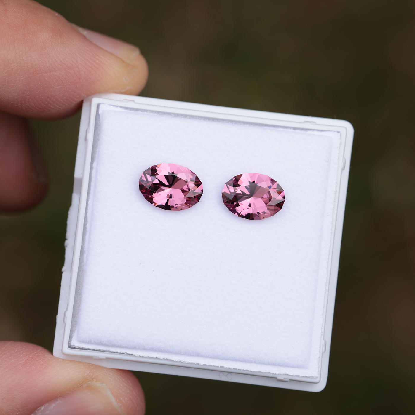 Tanga Granat Paar 2.71 ct