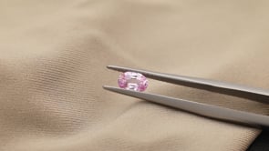 CJ2655 Video (CJ2655)