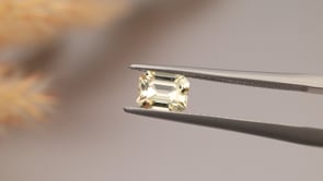 CG1050 Video (CG1050)