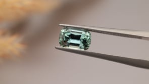 CG1054 Video (CG1054)