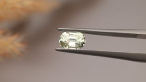 CJ2702 Video (CJ2702)