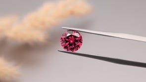 CJ3686 Video (CJ3686)