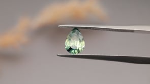 CG1101 Video (CG1101)