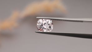 CG1110 Video (CG1110)