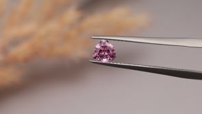 CG1126 Video (CG1126)